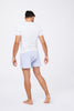 Intimo Cotone Celeste PIOGO B001 Principe di Firenze 